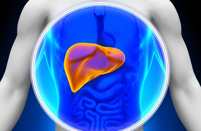 Hígado - Falso mito del colesterol