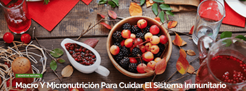 Macro Y Micronutrición Para Cuidar El Sistema Inmunitario